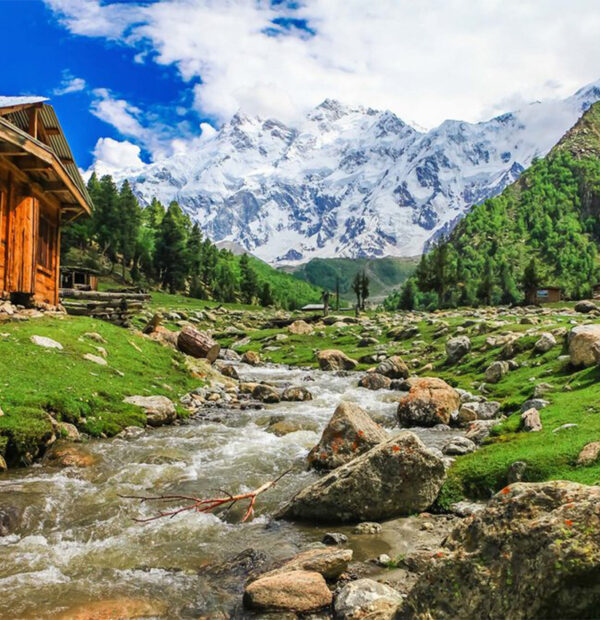 5 Days Trip to Land of Fairies; Fairy Meadows (Every Friday Night)